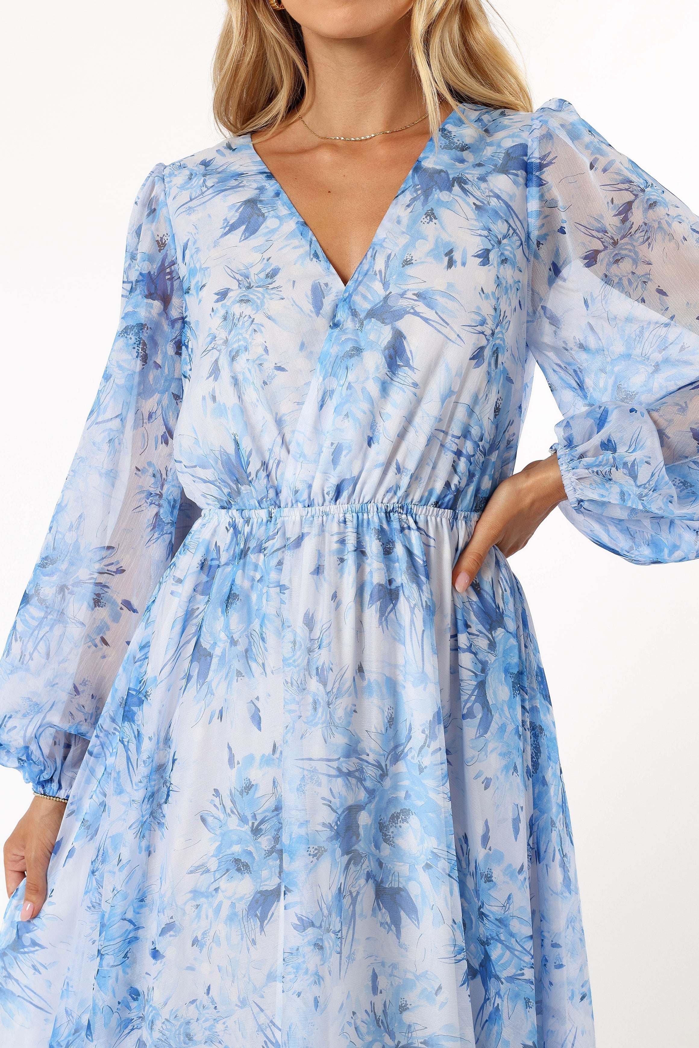 Anisa Maxi Dress - Blue Floral - XL - Image 44
